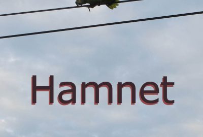 Hamnet (Chloé Zhao)